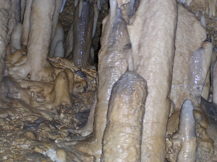 Harrison&rsquo;s Cave.