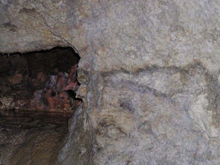 Harrison&rsquo;s Cave.
