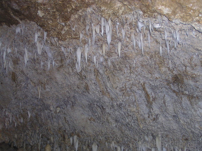 Harrison&rsquo;s Cave.