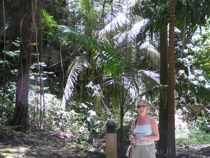 Near Harrison&rsquo;s Cave.