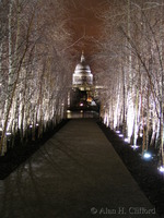St. Paul&rsquo;s Cathedral seen from outside the Tate Modern
