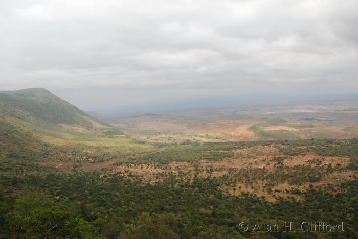 Rift Valley