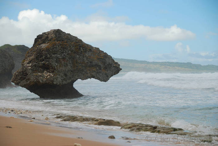 Sea stack at Bathsheba