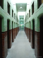 Vagrants to the left, casuals to the right 