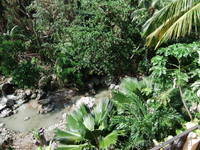 Joe&rsquo;s River behind the New Edgewater Hotel