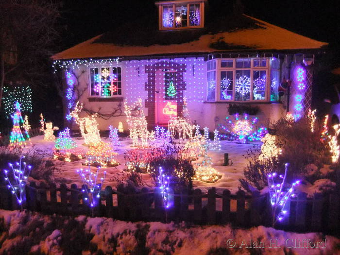 The garden at Ferret&rsquo;s End