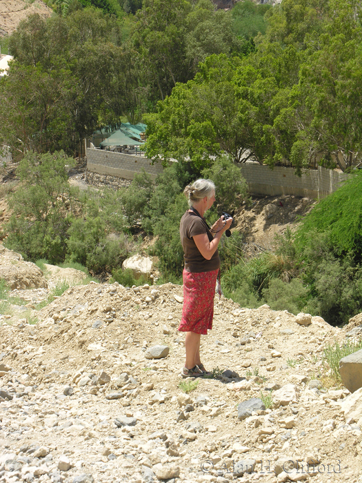 Ma&rsquo;in Hot Springs