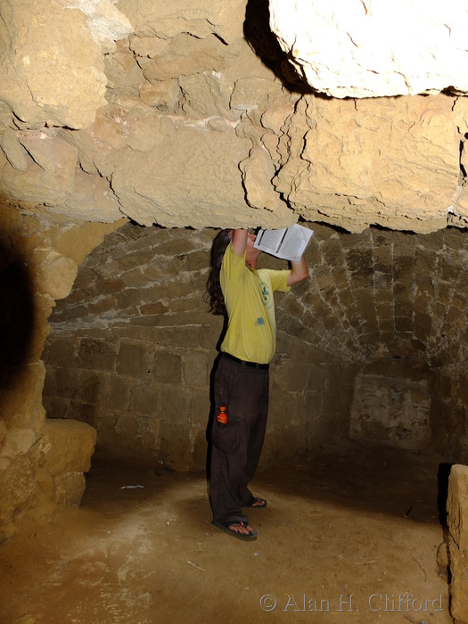 Othello&rsquo;s Tower