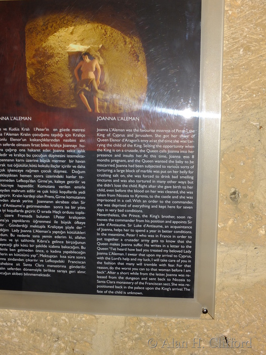 Joanna L&rsquo;Aleman