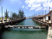 Blackwood&rsquo;s Screw Dock