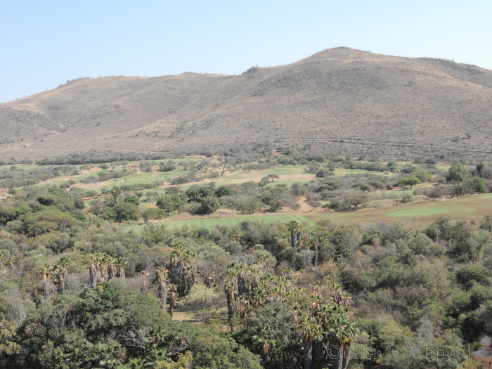 View from the King&rsquo;s Tower