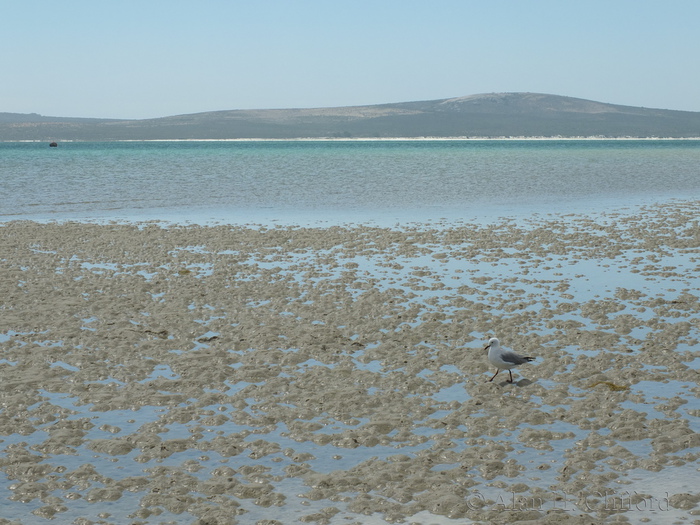 Beach near Kraalbaai